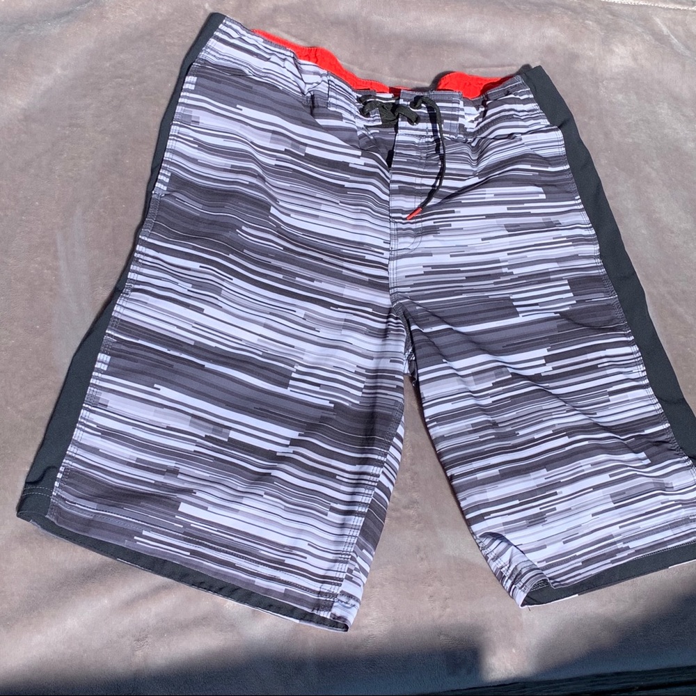 Mens Speedo Striped Swim Trunks